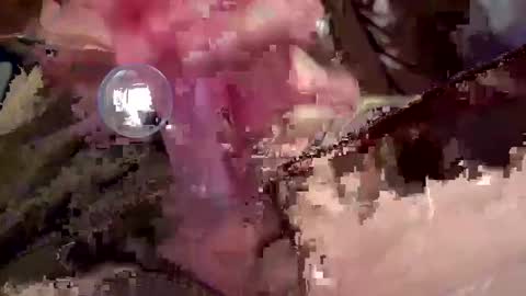 garetmc online show from January 22, 2:37 am