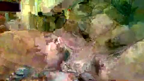 gergokertesz online show from January 16, 3:02 am