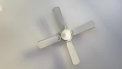 Getngetout88 online show from November 17, 4:32 pm