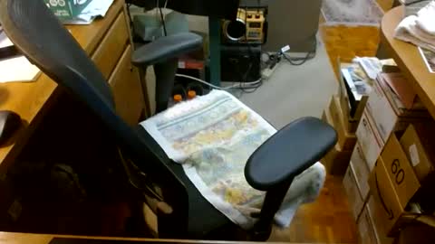 gfhdhr2 online show from April 17, 9:50 pm