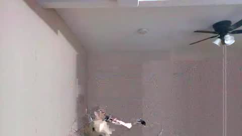 gonr369 online show from December 22, 6:21 am