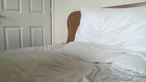 Dillan Diamonds online show from March 4, 8:35 am