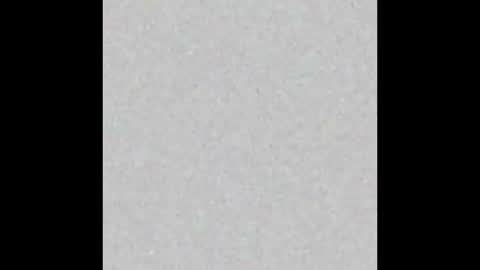 Sharkydaddy online show from December 21, 3:36 am