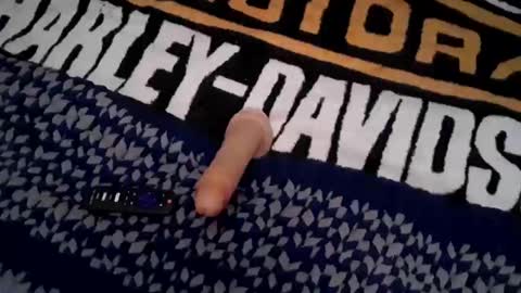 Snapshot of greatgoddamnsatan chatting on September 11, 4:06 pm Lord Satan online show from September 11, 4:06 pm