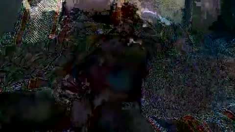 Jack online show from January 17, 9:17 am