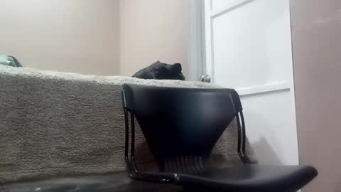 Jack online show from October 4, 8:08 am