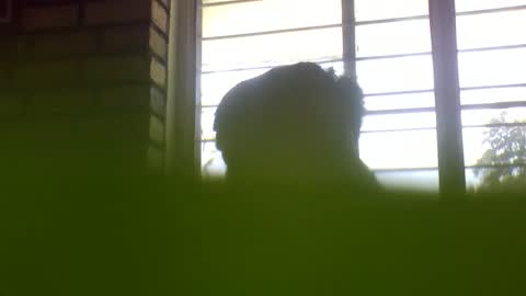 Grey Stud online show from January 4, 6:09 am