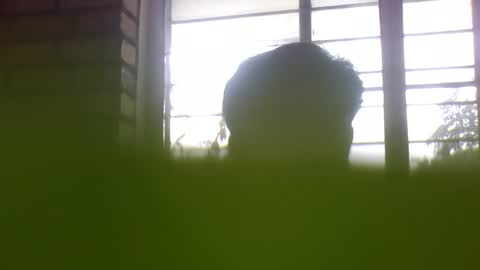 Grey Stud online show from January 7, 5:35 am