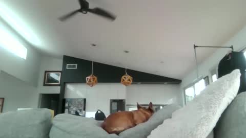 gumbyliscious online show from January 18, 9:17 pm