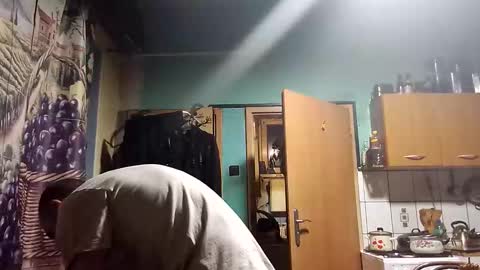 habiciakd online show from January 16, 7:49 pm