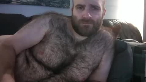 Hairiest Bear online show from February 1, 5:17 am
