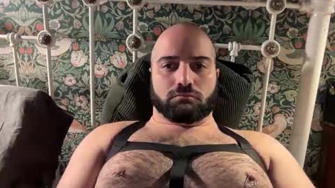 Hairy Guy online show from November 26, 8:56 pm