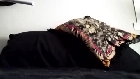 Marty online show from October 3, 12:21 pm