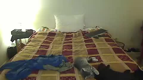 hammerthatthang73 online show from October 28, 8:50 am