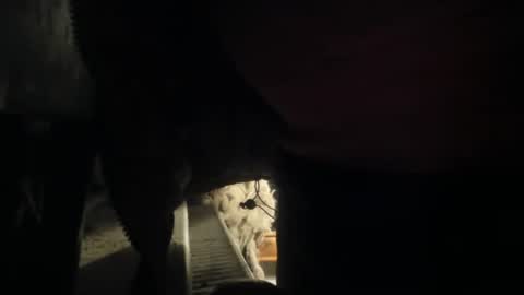 Snapshot of handncocknocum chatting on December 8, 5:22 pm handncocknocum online show from December 8, 5:22 pm