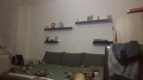 hanzik1954 online show from February 9, 9:39 pm