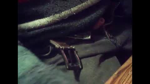 harold4848 online show from December 4, 7:43 pm