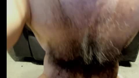 harry_banana online show from January 12, 8:25 am