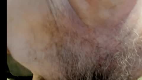 harry_banana online show from December 31, 11:20 am