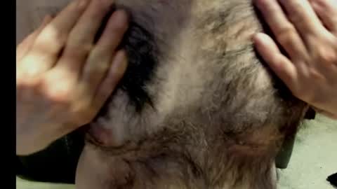 harry_banana online show from December 28, 8:58 pm