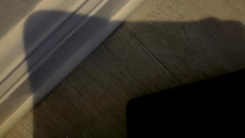 haufd online show from January 19, 3:53 am