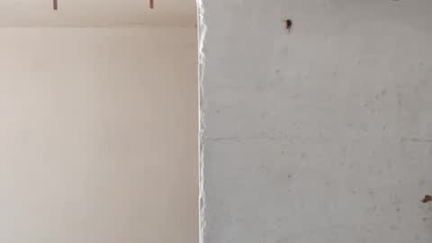 heaven_07 online show from March 16, 11:36 am