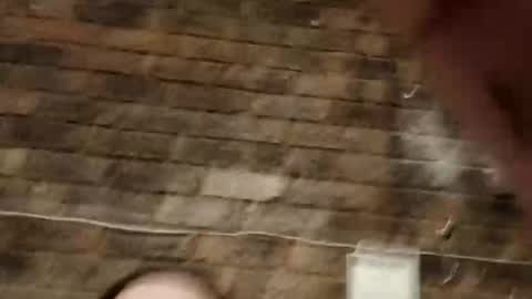 herry3336 online show from October 21, 2:14 am