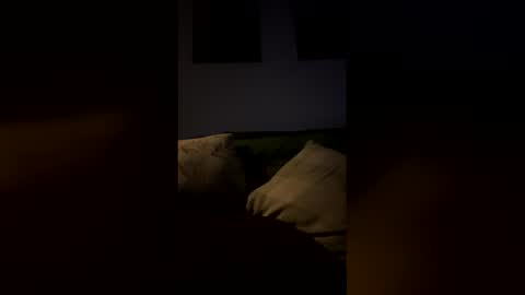 Drake online show from February 9, 6:51 am