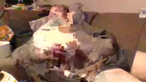 Himre online show from November 1, 3:32 am