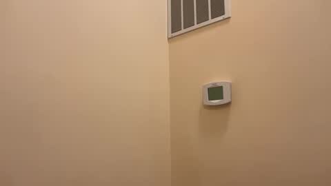 honey_man14 online show from February 18, 6:49 pm