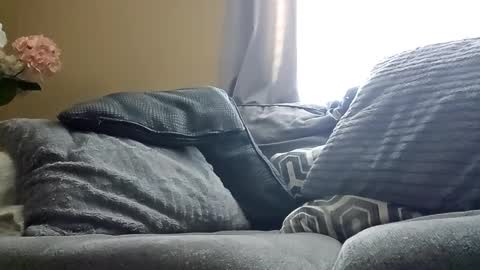 Hornlat online show from January 30, 8:21 pm