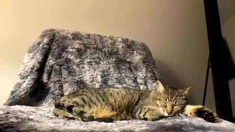 hottiewithabody101 online show from April 17, 9:50 pm