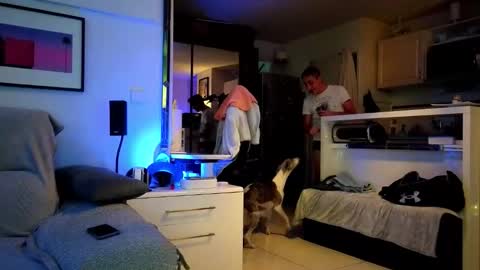 Hugo online show from October 20, 8:02 pm