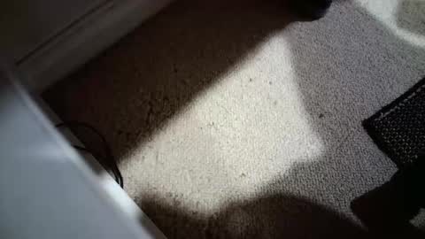 Hypeman online show from April 12, 5:31 am