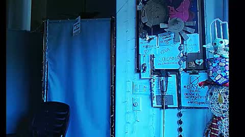 PMS online show from January 1, 11:51 pm