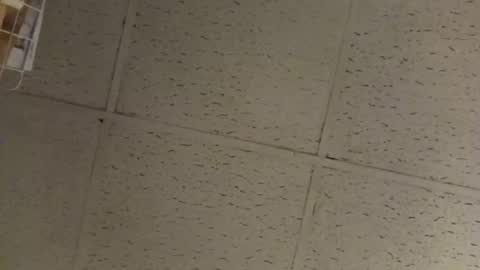 igcognito647033 online show from February 20, 7:54 am