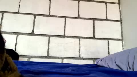 igneo8 online show from April 30, 4:14 pm