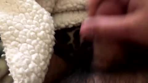 ilovecake3322 online show from March 1, 6:07 pm