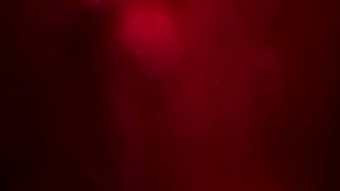 BroLOU online show from January 7, 4:41 am