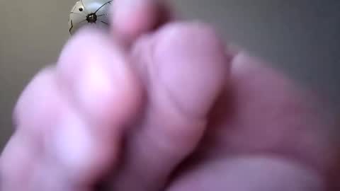 G. Teaser online show from March 11, 2:07 am