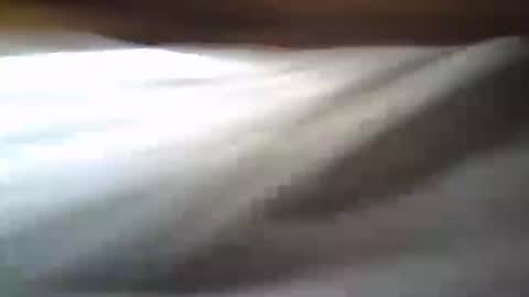 isd1969 online show from February 5, 7:07 am