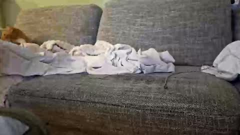 itsjeroen online show from April 24, 10:23 pm