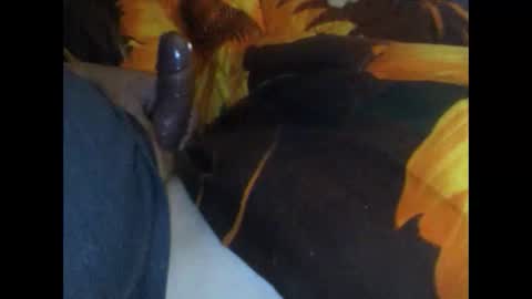 speedy online show from April 7, 9:53 am