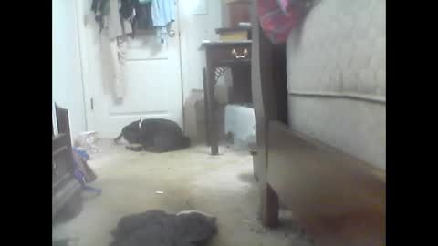 jaburgett1979 online show from October 10, 3:00 am