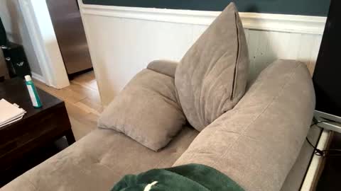 jack_daniels8101 online show from April 7, 9:04 pm