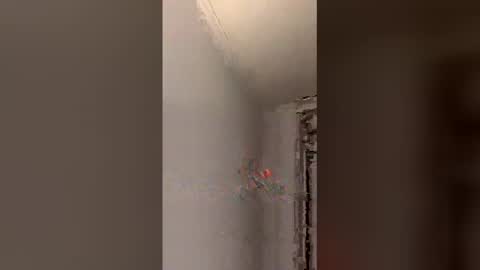 jamiee791 online show from February 9, 3:33 am