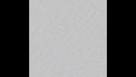 Dicky Down online show from December 1, 8:39 am