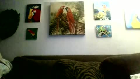 jay-jay1475 online show from January 13, 5:23 pm