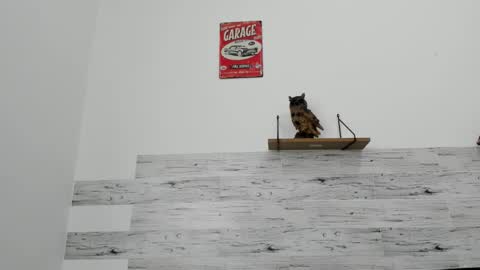 Jaycreedd online show from March 3, 5:09 pm