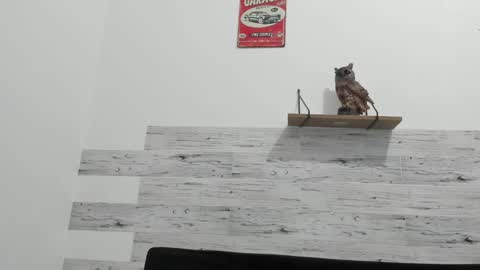 Jaycreedd online show from February 20, 4:39 am